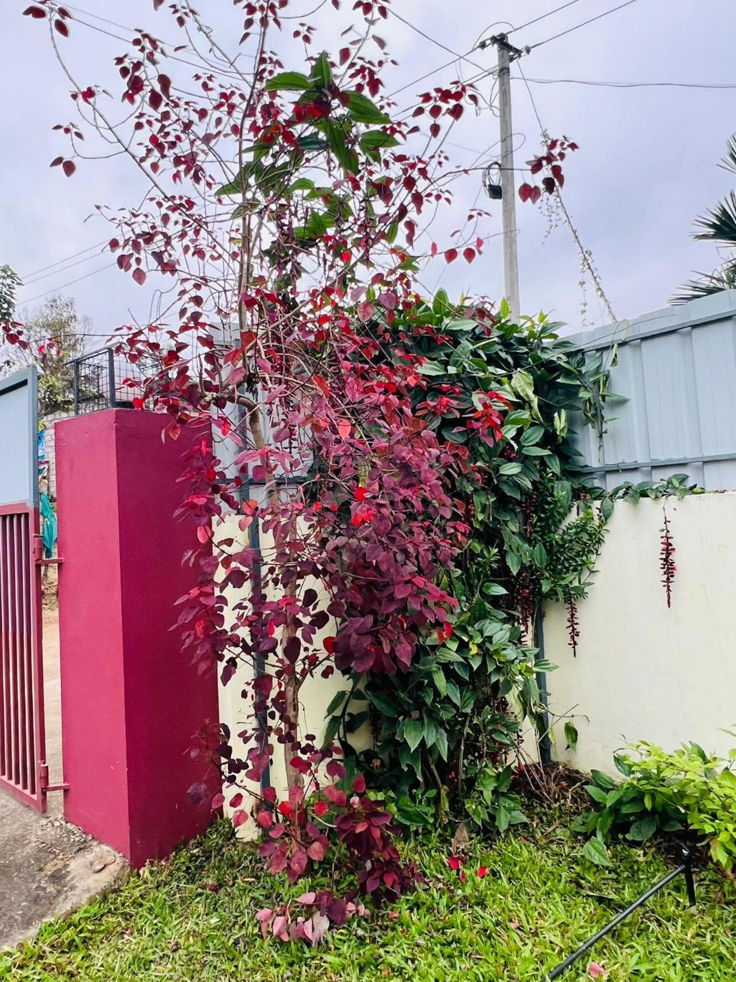 فيلا Kadampil Bliss Maraiyūr المظهر الخارجي الصورة